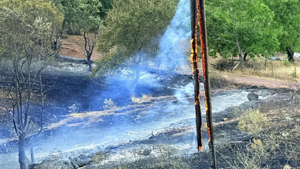 Manisa'da orman yangını büyüyor: Kocakağan Mahallesi'nde tahliyeler başladı