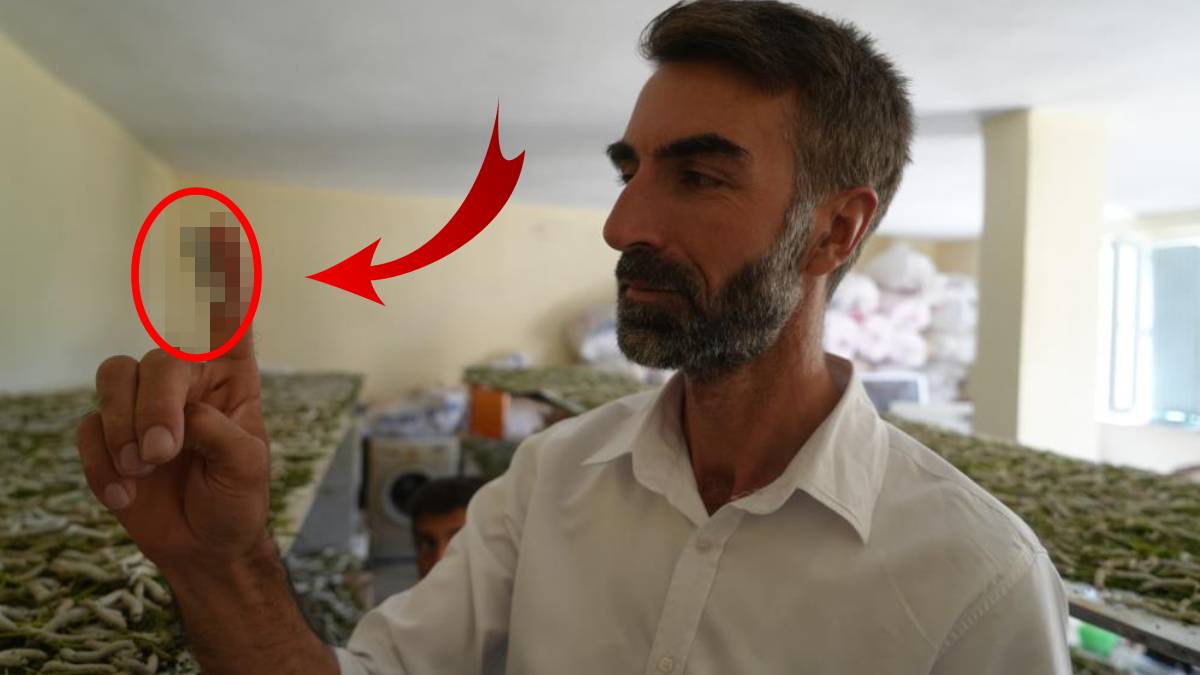 ‘Uğraşma’ diyenlere aldırmadı, üretime başladı! Alım garantisi veriliyor: 50 günde binlerce lira kazandırıyor