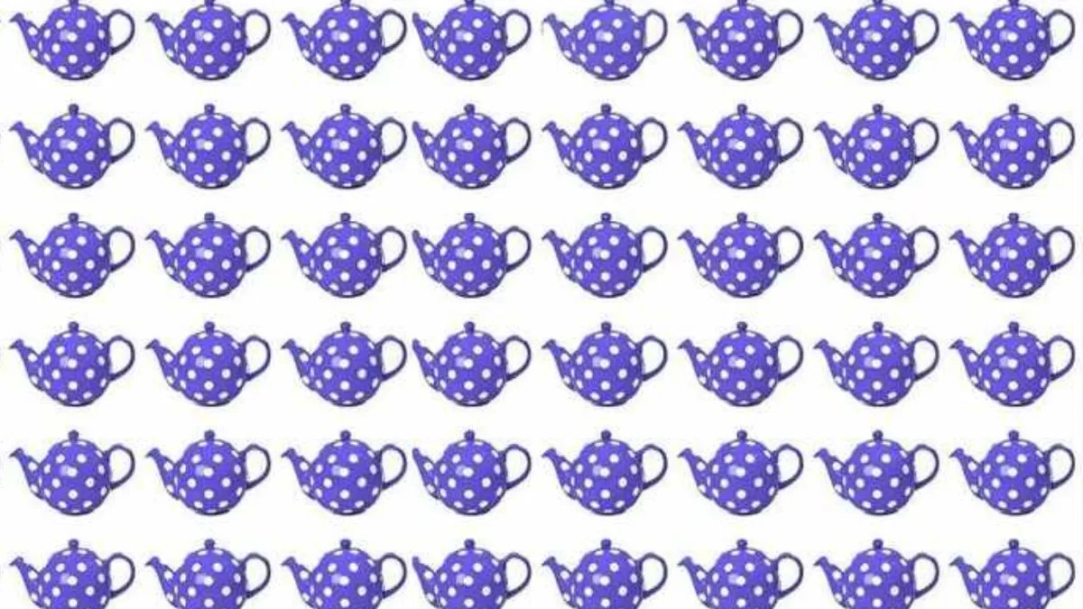 Göz yanılgısına kapılmayın! Farklı çaydanlık burada ama nereye gizlendi?