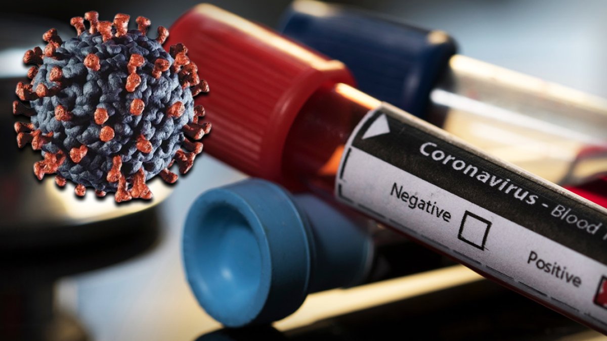 Stanford Üniversitesi'nden pandemi raporu: Kovid-19 aşısı beklenenden çok daha az hayat kurtardı