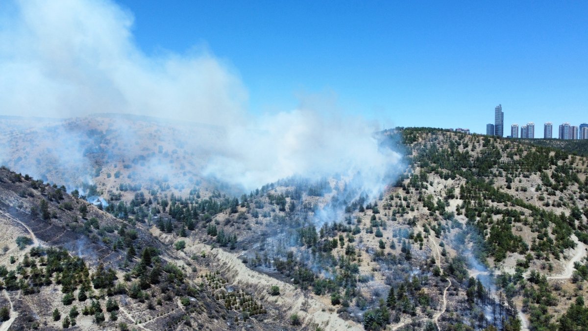 Ankara'da orman yangını: Dumanlar gökyüzünü kapladı