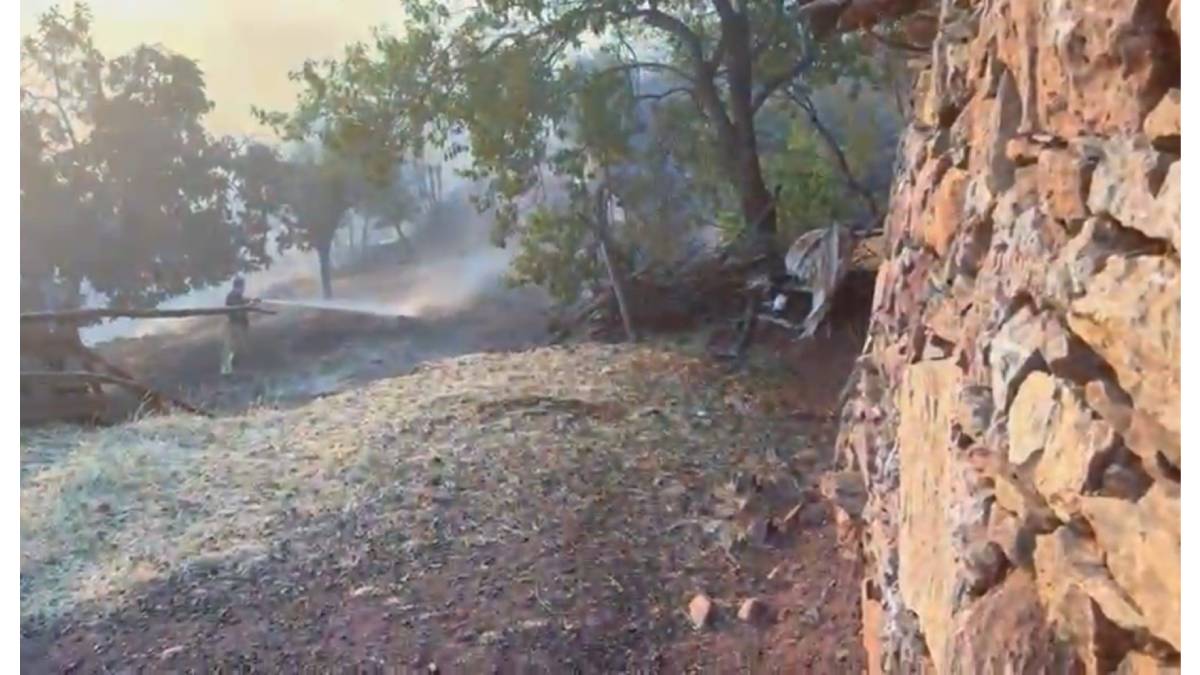 Yangının evlere sıçramasını önleyip koyunları kurtardılar