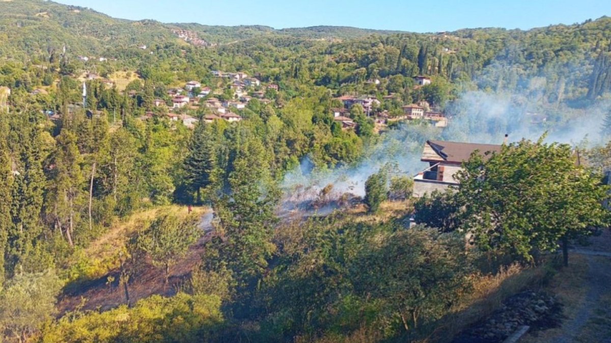 Kocaeli'de orman yangını: İtfaiye ekipleri seferber oldu