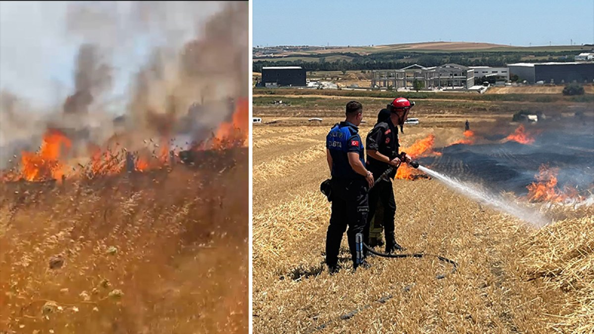 Silivri'de 4 ayrı noktada çıkan anız yangını söndürüldü: 50 dönüm arazi zarar gördü