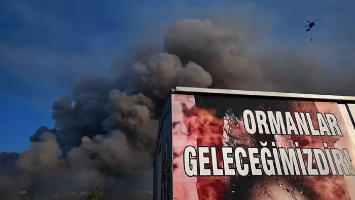 Karabük'teki orman yangını 5. günde:  Yollar kapatıldı, ekiplerin mücadelesi devam ediyor