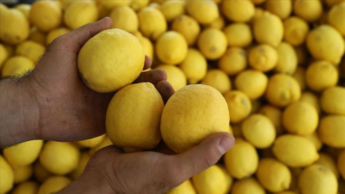 Pazarcılar etiket değiştirdi, vatandaş şaşkına döndü! Kilosu 150 liraya satılıyordu, tanesi 25 lira oldu