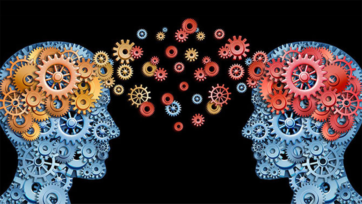 Bilgi arttı, hakikat azaldı: Her bilgi türü yerinde doğrudur