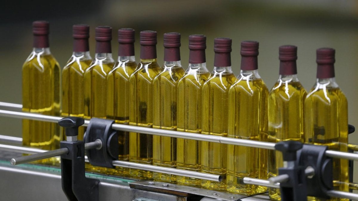 Market raflarında tehlike: Türk markalı zeytinyağında kanserojen madde alarmı