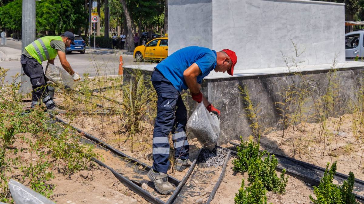 Daha az su daha fazla yeşil