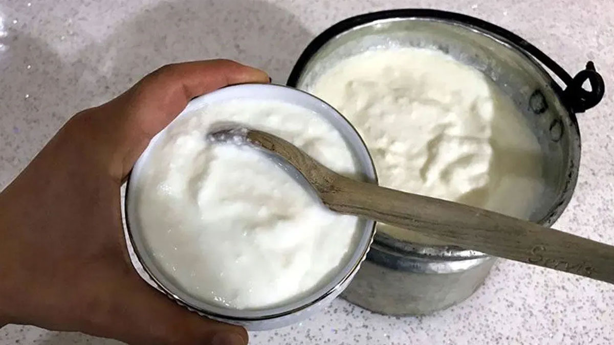 Bakanlık 4 yoğurt markasını ifşa etti