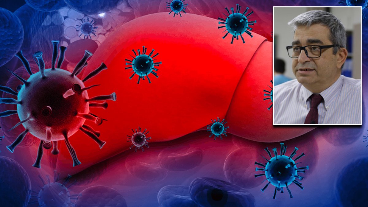 Prof. Dr. Serhan Sakarya: Her 100 kişiden 24'ü hepatit taşıyıcısı