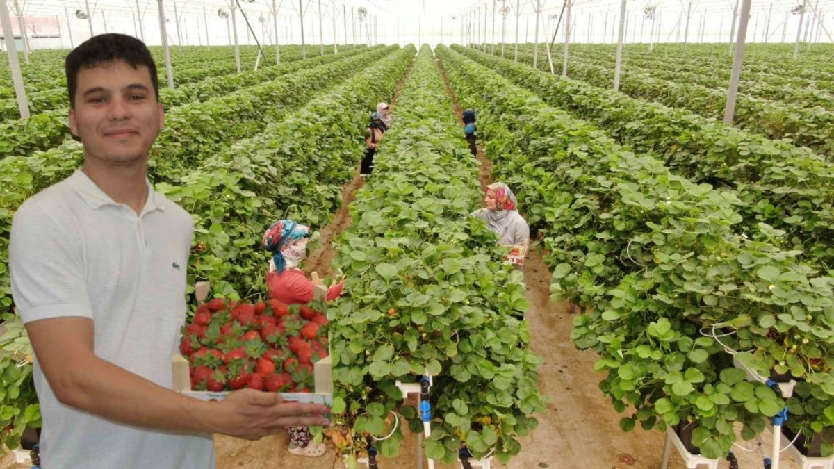 Yaşıtları uzaklaşırken o meydan okudu! 20 yaşında 100 milyon liralık yatırım yaptı: Tarım ve teknolojiyi birleştirdi
