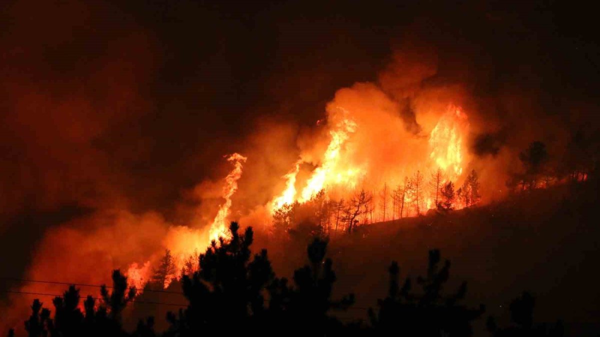 Son rakamlar şoke etti: Türkiye'de yanan ormanlık alan miktarı katlandı!