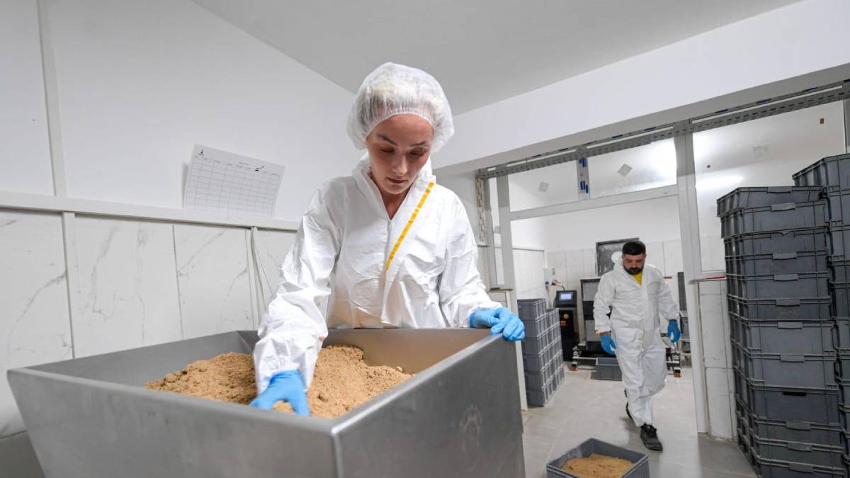 İzmir Büyükşehir Belediyesi can dostlar için mama üretiyor