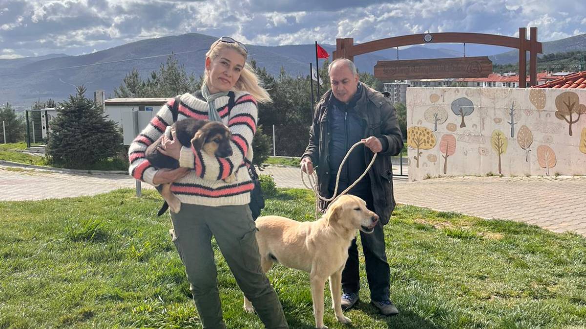Büyükşehir Geçici Hayvan Bakımevi’nden 3 Bin 779 can dosta yeni yuva