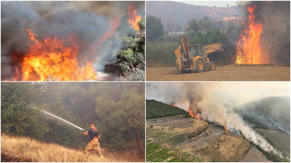 DEM Parti’den orman yangınları için Meclis araştırması talebi