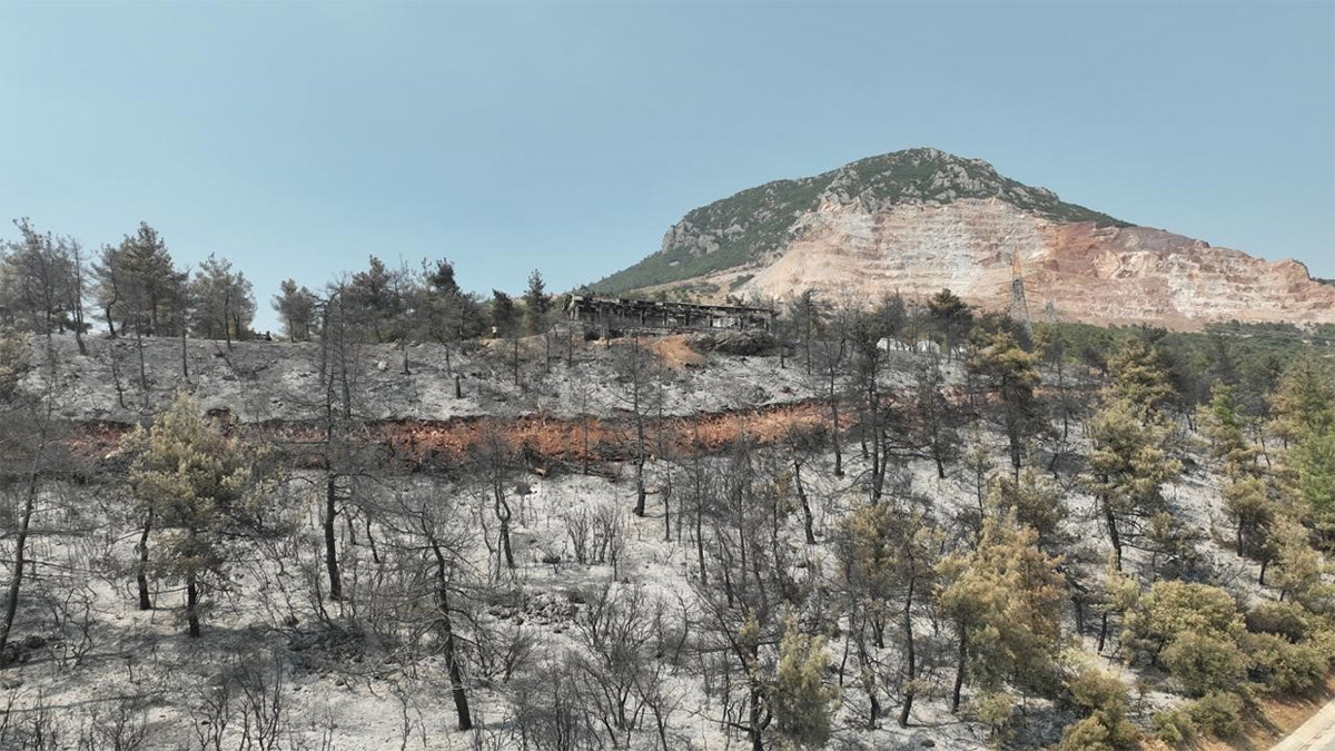 Bursa'nın yanan yüzü! Havadan görüntüler felaketi gözler önüne serdi