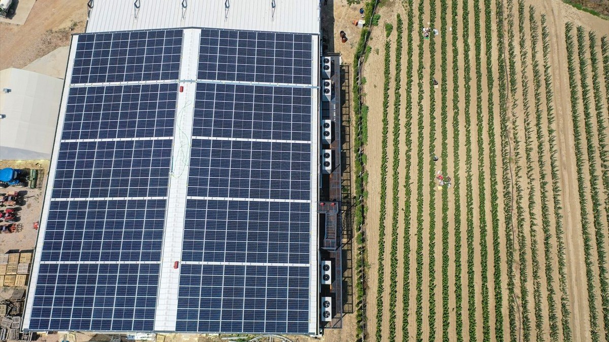 Elektriğe para vermiyor, çokça üretiyor! 1 milyon adet üretti, fazlasını enerji şirketine sattı! 8 ülke ondan alıyor