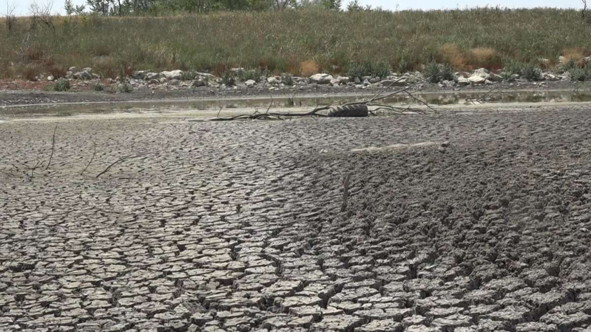 O ilimizde yürek burkan manzara: Kuruyan gölette yüzlerce balık telef oldu!