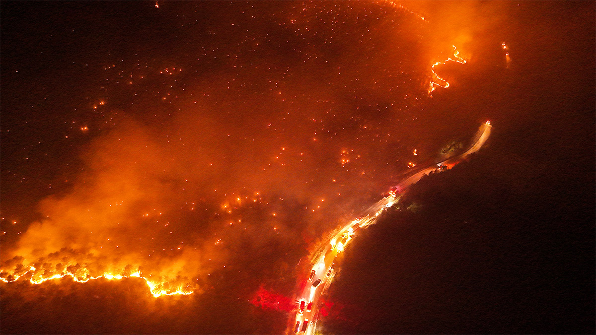 Sayıştay Orman Genel Müdürlüğüne sordu: Parayı verdin uçak nerede?