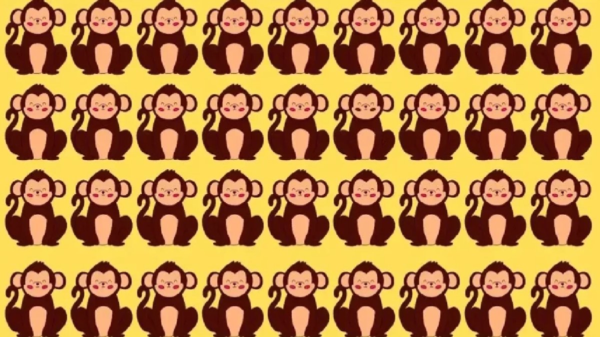 Her şey aynı gibi ama biri farklı! Farklı maymunu 7 saniyede bulabilen neredeyse yok