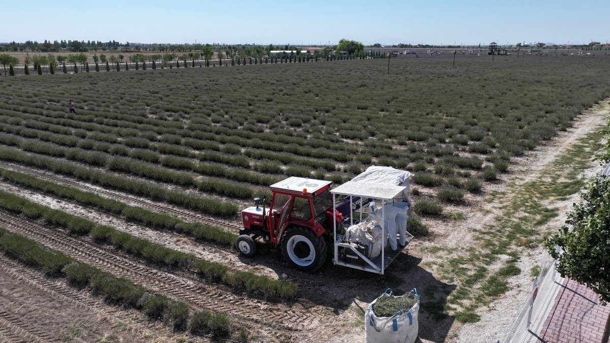 Hem sergileniyor hem üretim yapılıyor! Görmek için yüz binlerce ziyaretçi gidiyor: Sabun, gazoz, krem... Hepsi bu bahçeden