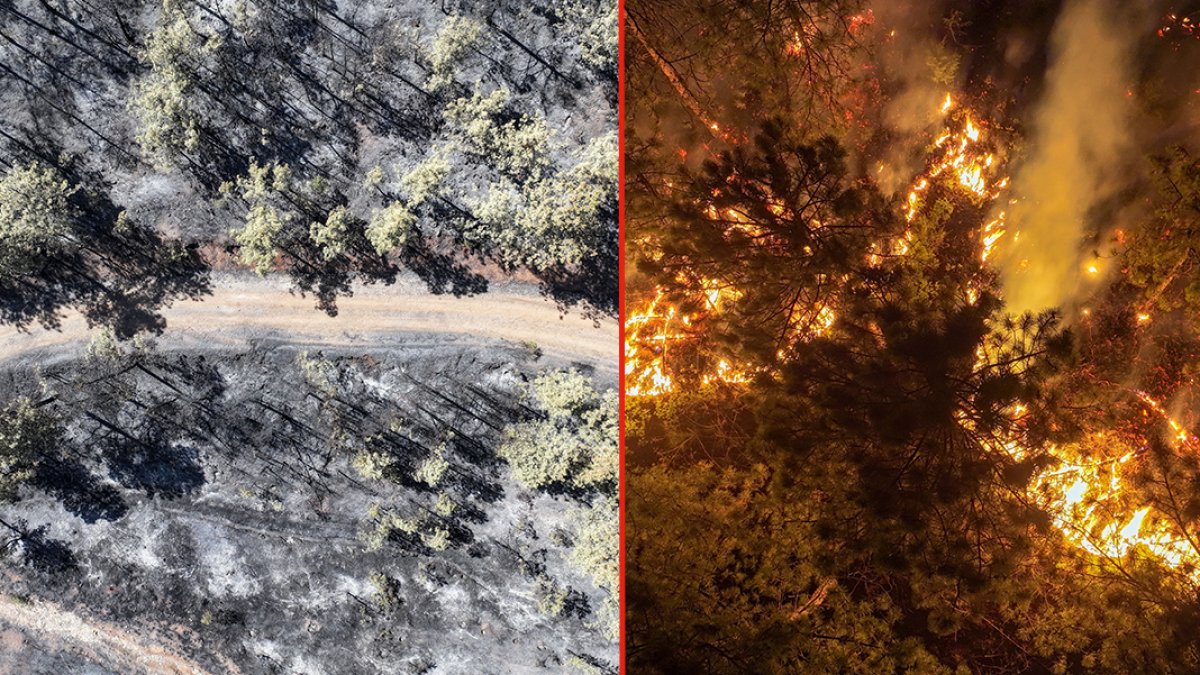 Orman yangınlarının bilançosu açıklandı: 7 ilde 132 yapı ağır hasarlı