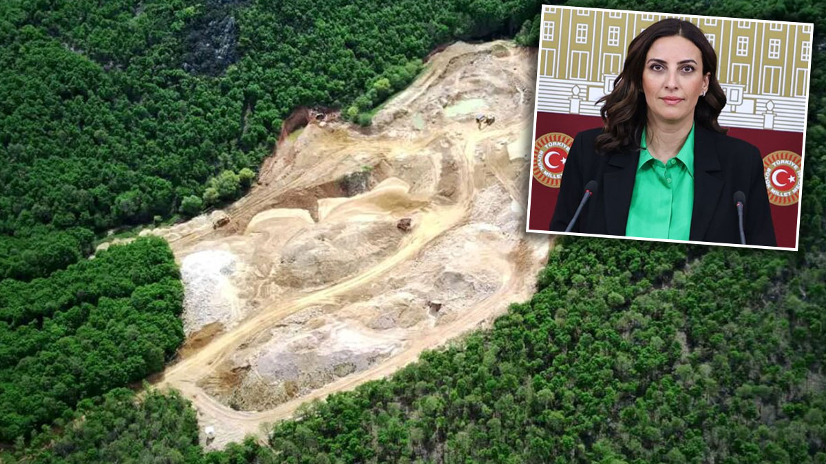 Çatalca’da 41 bin ağacın kesilmesi Meclis gündeminde: Kum ocağı projesini durdurun