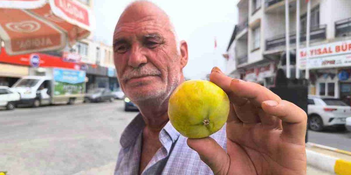 Eskiden kiloyla alınırdı, şimdi taneyle! Kilosu 250 lirayı bulunca vatandaş isyan etti