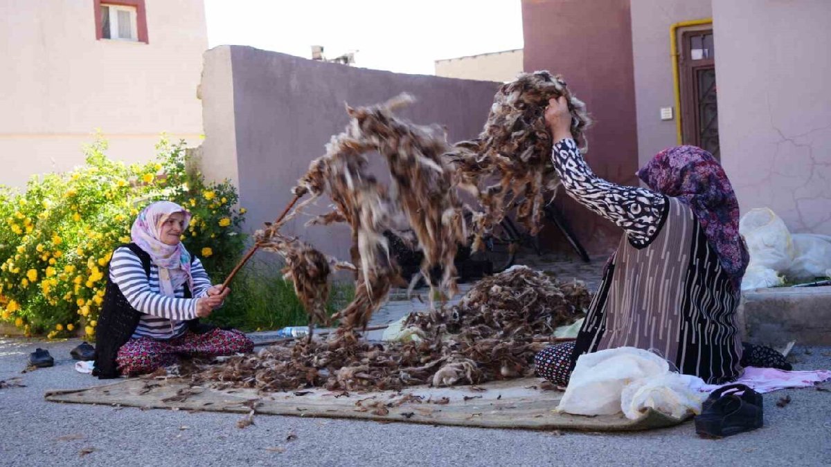Kışın kullanıyorlar, yazın çırpıyorlar! Bayburt’ta kış mesaisi başladı: Kolları işliyor 5 aşamadan geçirip kaldırılıyor