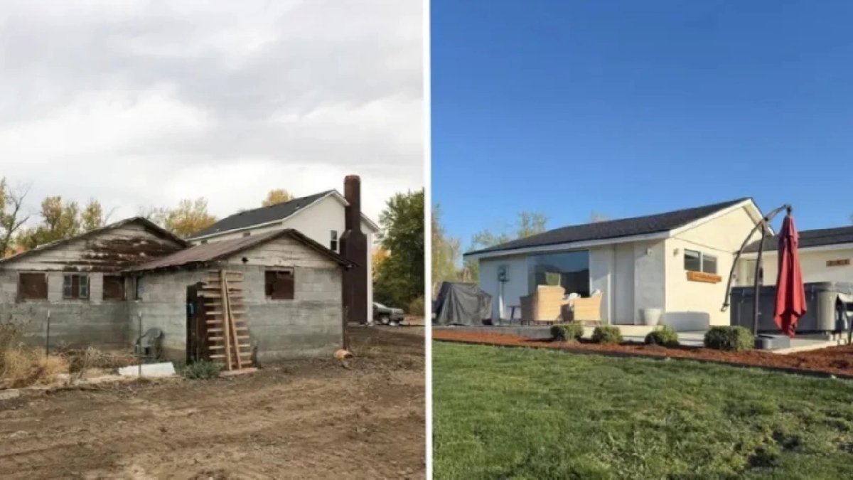 100 yıllık tavuk kümesinden yaptı, zenginliğin tadını çıkardı! Paraya para demiyor, ayda 75 bin TL’den fazla kazanıyor