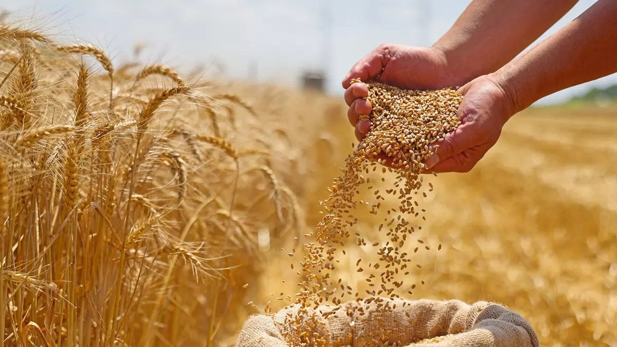 Tarihi Rekor Geliyor: Gıda Fiyatlarında Düşüş Beklentisi Mi Var? Uzmanlar Ne Diyor?