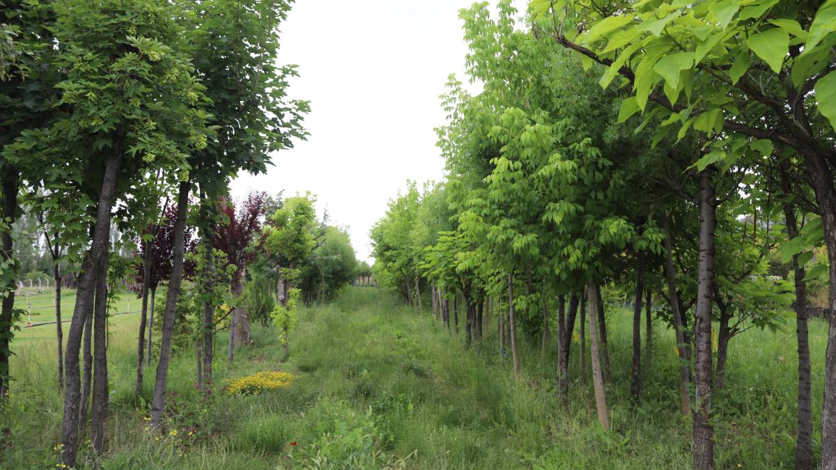 Eskişehir Büyükşehir Belediyesinden açıklama