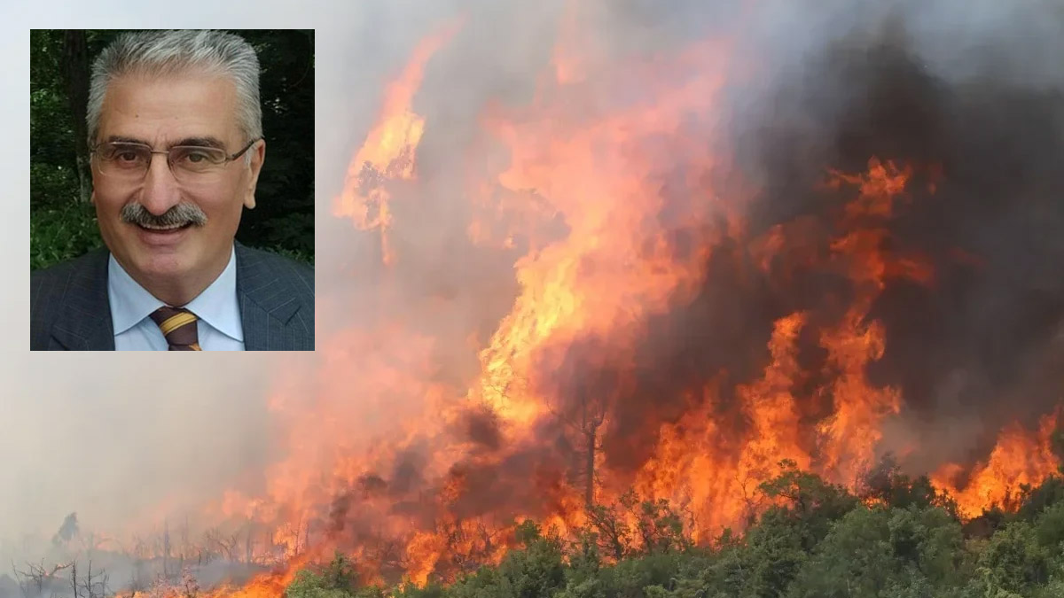 Kürem-Der Başkanı Çebi'den ormancılıkta yapısal reform çağrısı: Felaketler yaşanmadan önce harekete geçmeliyiz