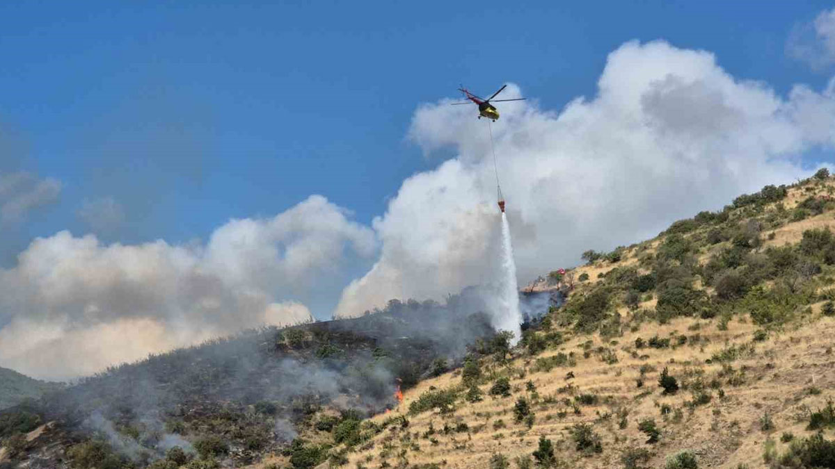 Tekirdağ'da makilikte yangın