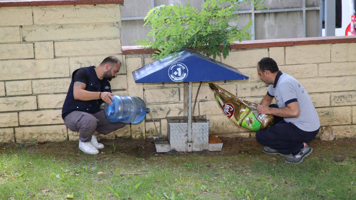 Küçükçekmece Belediyesinden sokak hayvanları için mama ve su desteği