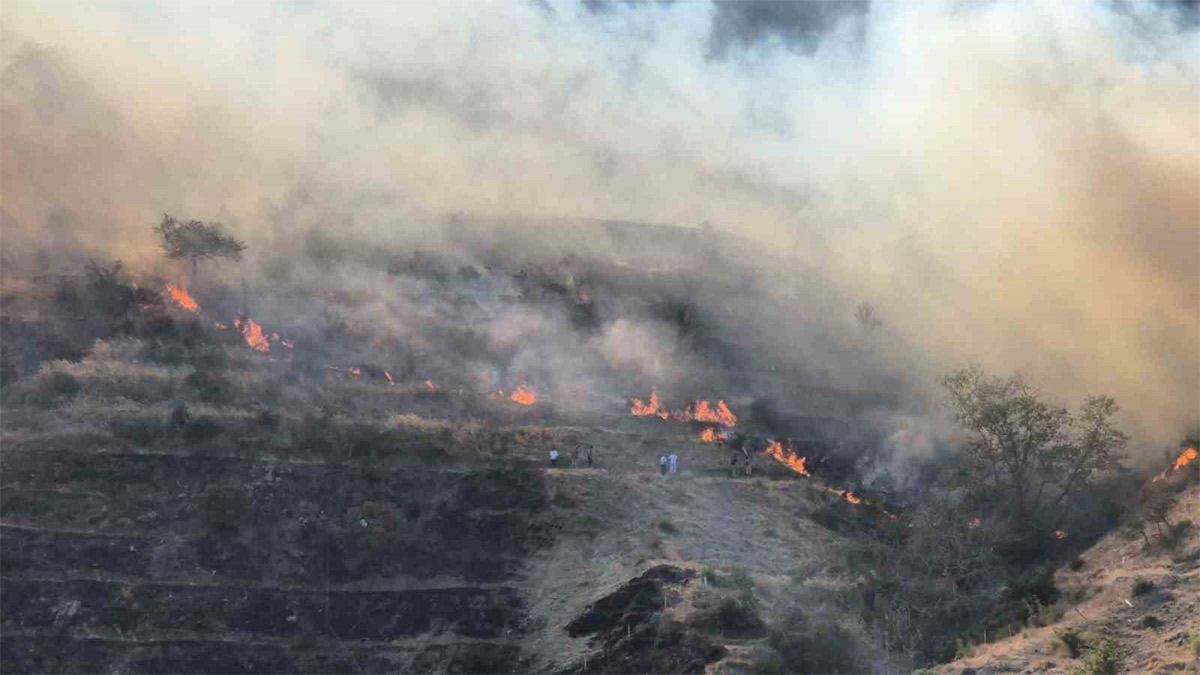 Tekirdağ Şarköy'deki yangın kontrol altında! 75 yaşındaki şüpheli gözaltına alındı
