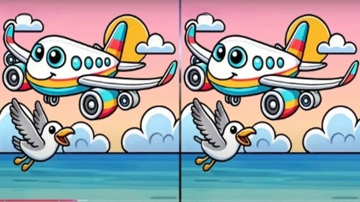 Gözleriniz kartal gibi mi? Yüksek IQ'luların bile zorlandığı o martı bulmacası! 12 saniyede farkı bulabilecek misiniz?