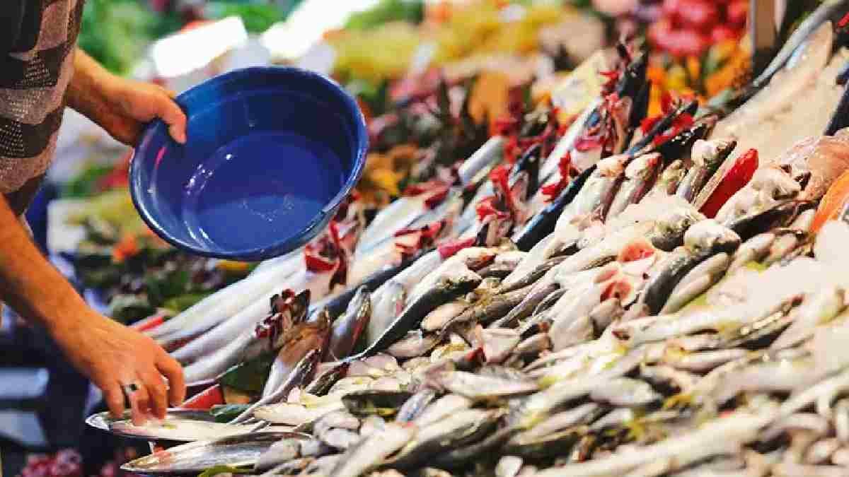 Balık sevenler mutlaka okuyun! Ağustos ayında tüketilmesi gereken en lezzetli balıklar belli oldu! İşte o balıklar...