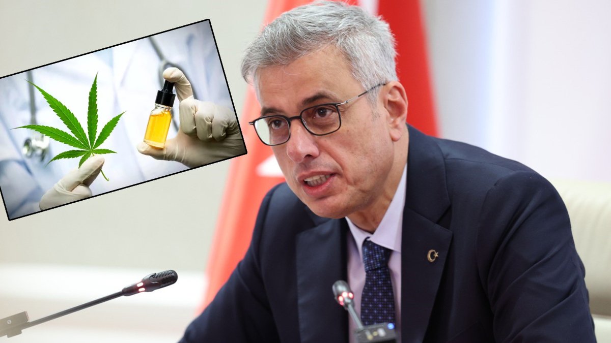 Sağlık Bakanı Memişoğlu  “kenevir” kampanyasına başladı: "15 hastalıkta kullanılacak"