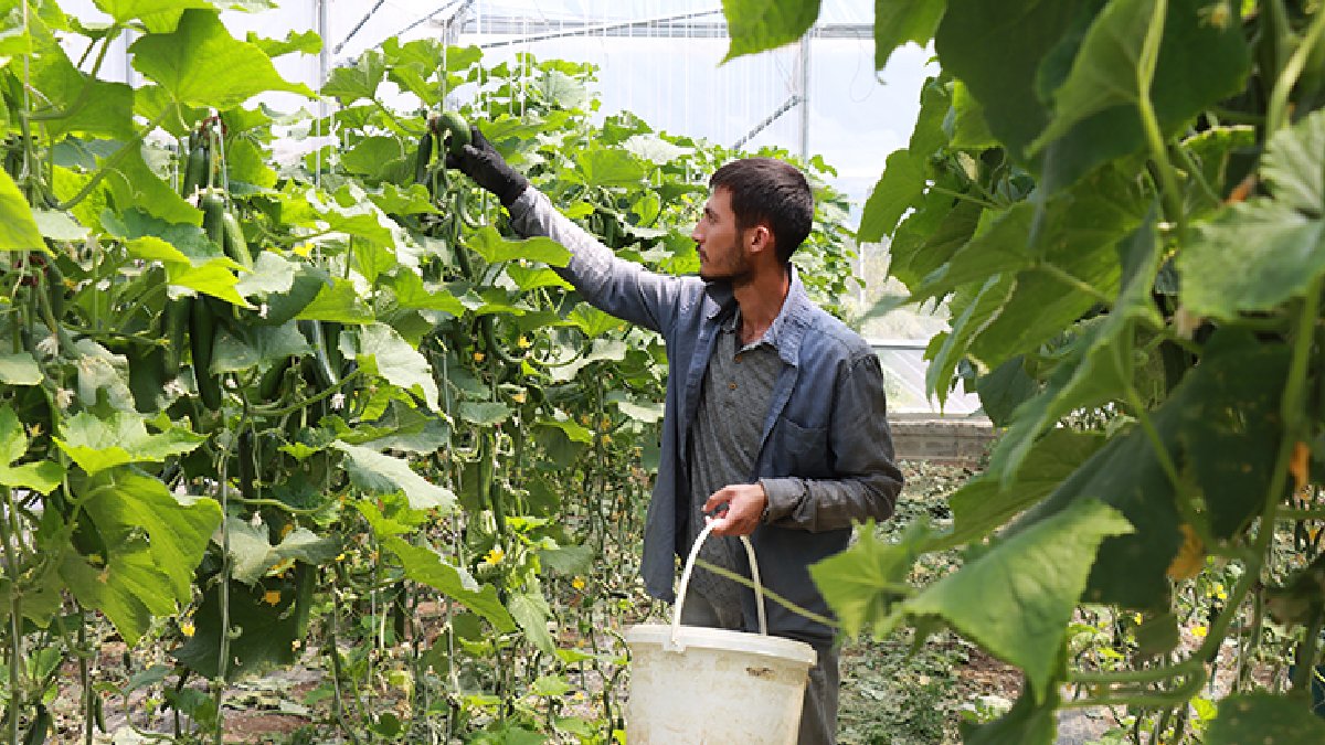Gençlere köye dönüş teşviki: Bedelsiz arazi, düşük faizli kredi ve ev desteği