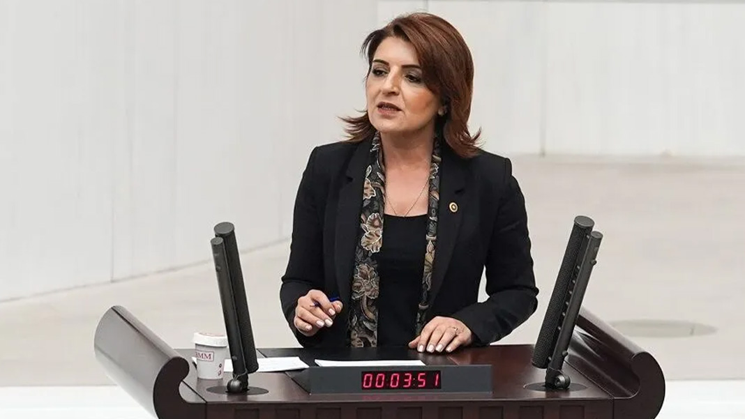 CHP'li Gülcan Kış: 'Muhalefetin bin 300 kanun teklifi gündeme alınmadı'