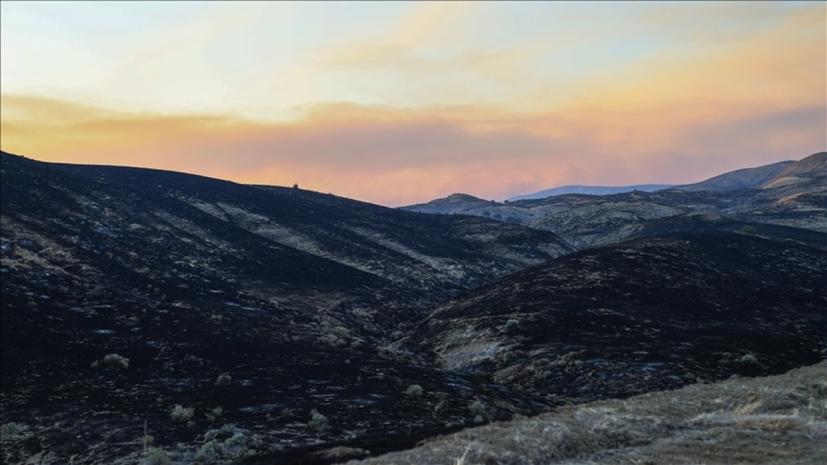 ABD'nin California eyaletindeki orman yangınında 12 bin hektardan fazla alan kül oldu
