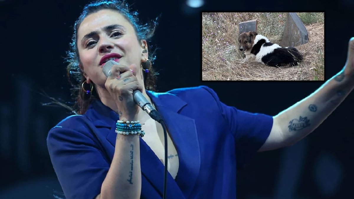 Ceylan Ertem, sahibinin mezarından ayrılmayan köpeği sahiplendi