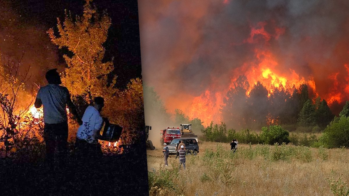 Orman yangınlarının zararı 14,2 milyar TL: 56 bin futbol sahası büyüklüğünde alan kül oldu