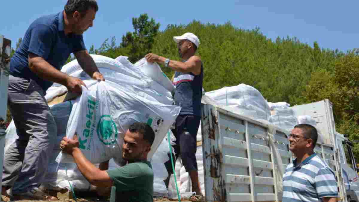 Büyükşehirden çiftçilere organik tarım desteği: Alanyalı üreticilere 10 ton kaolin kili dağıtıldı