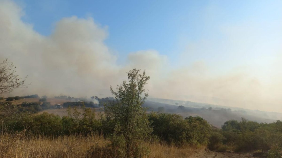 Balıkesir'de arazi yangını: Müdahale sürüyor