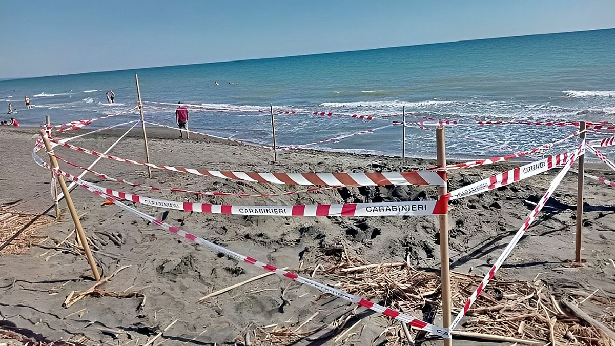 Kumdan kale yapmak için zemini 1,5 metre kazdı, feci şekilde öldü! Plaj, mezarı oldu