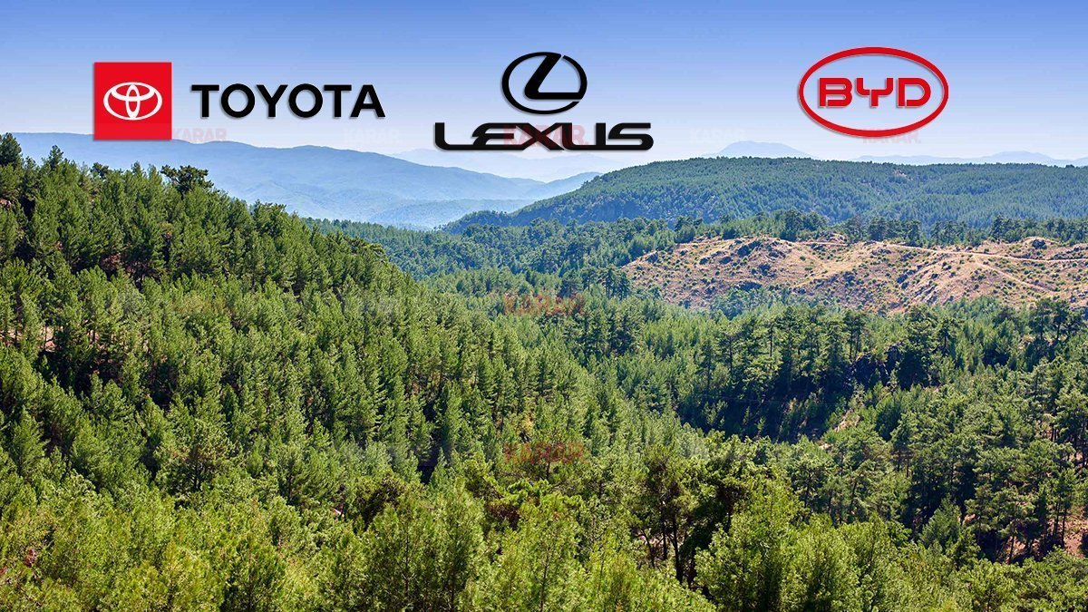 ALJ Türkiye'den büyük jest! Sattığı her araca 10 ağaç dikecek