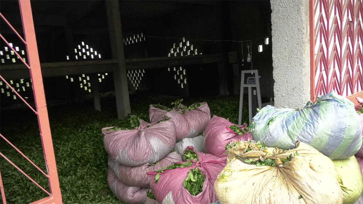 Trabzon'da ÇAYKUR protestosu